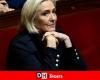 Juicio a enfermeras registradas: ¿qué consecuencias para Marine Le Pen?