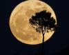 Super Beaver Moon: qué es este fenómeno, cómo observarlo, a qué hora… Todo lo que necesitas saber sobre la última superluna del año