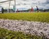 La carísima renovación de los campos de fútbol sintéticos