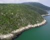 Un bosque “con árboles retorcidos” ahora protegido en La Malbaie