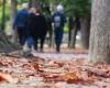 Sol y descenso de las temperaturas antes del regreso de las lluvias del Norte: el tiempo del fin de semana en Francia