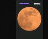 Impresionantes imágenes de la Super Beaver Moon de 2024: Noticias