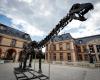 Un esqueleto de dinosaurio gigante vendido por 6 millones de euros en Yvelines