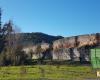 Un bosque urbano crece a orillas del Lot, en Cahors