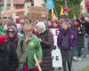 “No lo queremos”. Casi 500 personas se manifiestan contra un mega proyecto de invernadero de tomates en el Canal de la Mancha