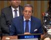 Omar Hilale nombrado copresidente del Foro ECOSOC