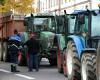 A10, N118… Los puntos de bloqueo previstos por los agricultores para la movilización en Île-de-France este domingo