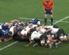 Los Blues derrocan a los All Blacks a costa de una feroz revuelta [vidéo] – Quince Ovalados