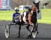 El Top 3 de periodistas de Equidia para el Prix de BretagneAmérique Races Q1 en Vincennes