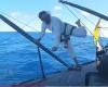 Rectificar, cortar, lijar, pegar, laminar: Louis Burton, el MacGyver de la Vendée Globe [Vidéo]