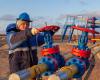 Austria privada de gas por Gazprom