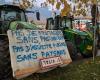 Crisis agrícola: lonas y una primera reunión de agricultores en Saboya y Alta Saboya este lunes