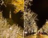 Descubra la sublime Avenue Montaigne decorada para Navidad