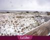 Clima en Bélgica: aquí es dónde y cuándo se esperan las primeras nevadas esta semana