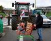 EN VIVO – Ira de los agricultores: “85 puntos de manifestación” en toda Francia, según la FNSEA