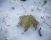 Tormenta invernal sobre Europa: el martes habrá tormenta y luego nevará “hasta abajo”