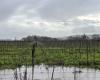 Advertencia de inundaciones emitida en los condados de Sonoma, Napa y Marin