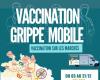 Un camión de vacunación contra la gripe recorrerá Ariège