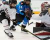 En febrero se celebrará en Edmonton un partido de hockey femenino profesional