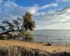 TOULON: El tiempo – Un viento muy fuerte el miércoles en Provenza