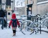 Nieve, hielo, viento: 49 departamentos puestos en vigilancia naranja desde el jueves por la mañana