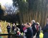 Hermoso día de encuentro en torno a las aves de Ariège en el Parc aux Bambous