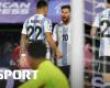 Clasificación para el Mundial Sudamérica – Argentina gana gracias a un gol soñado – Brasil vuelve a tropezar – Deportes