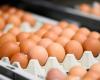 ¿Cuántos huevos puedes comer al día? La respuesta de un nutricionista