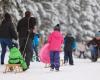 Nieve en Harz: pero la asociación de turismo desaconseja el trineo | Noticias