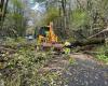 Árboles en la carretera en limusina de Charente, 4.160 viviendas privadas de electricidad, la tormenta Caetano no perdona a Charente