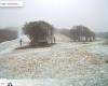 INFORME DEL TIEMPO. Ola de frío en Francia: ¡los primeros copos de nieve caen este jueves en Aveyron y Lozère!