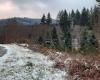 Tormenta Caetano: la Creuse se despierta bajo una fina capa de nieve este viernes por la mañana