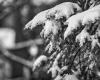 Variación de elevación en la acumulación de nieve durante el jueves por la noche y el viernes por la mañana