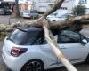 EN FOTOS. En Saint-Nazaire, la tormenta Caetano rompe árboles y causa estragos al pie del puente