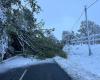 Un roble cae bajo el peso de la nieve en una carretera del Canal: el tráfico completamente bloqueado