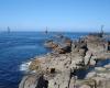 Finistère: una langosta dorada, ejemplar extremadamente raro, capturado en la isla de Ouessant