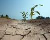 GARD Participa en preguntas sobre cambio climático