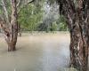 Estado de Queensland afectado por lluvias torrenciales