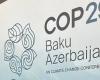 COP29: ¿Qué futuro para los defensores ambientales en África ante la crisis climática? – VivAfrik