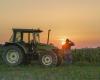 Tras su encuentro en “l’Amour est dans le pré”, lanzaron su marca de palomitas de maíz made in Creuse