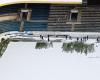 Los aficionados ayudan a quitar la nieve del Swissporarena