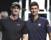 ATP > Andy Murray nuevo entrenador de Novak Djokovic, ¡improbable pero cierto!