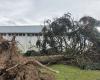 Tormenta Caetano. La impresionante caída de un árbol en un municipio de Deux-Sèvres