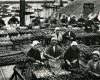 Cómo las pesquerías de sardinas “explotadas” de Douarnenez obligaron a los empresarios a ceder