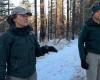 El bosque quemado de Jasper resurge de sus cenizas