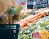 Llena de pesticidas, ya no compres esta verdura de invierno en el supermercado, aquí te explicamos cómo cultivarla fácil y rápidamente en casa