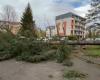 Tormenta Bert: árboles caídos, tejados volados… imágenes de los daños cerca de Lyon