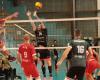 Voleibol: en la Copa de Francia, los Centurions Narbonne pasan a Martigues