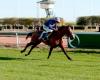 Lunes en Cagnes – Premio Ucello II: Lafayette cumple su contrato