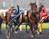 Inscripciones para el Premio Ready Cash y Bourbonnais 2024 en Vincennes